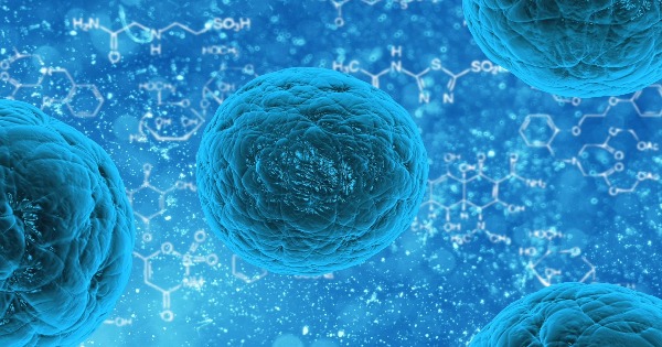 Nuevos posibles usos para las células madres son encontradas por investigadores