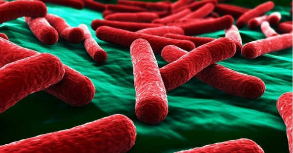 6 Aspectos Importantes En La Selección De Superficies Antibacterianas