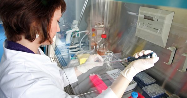 Consideraciones en un laboratorio de células madre