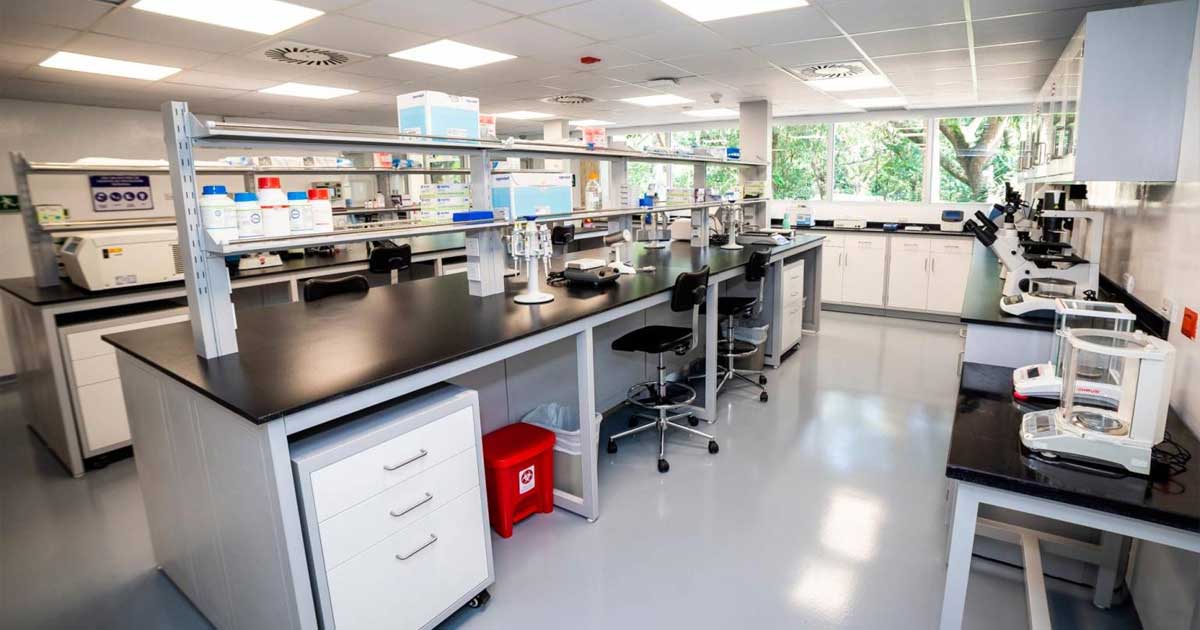 Diseño de laboratorios de investigación de células madre